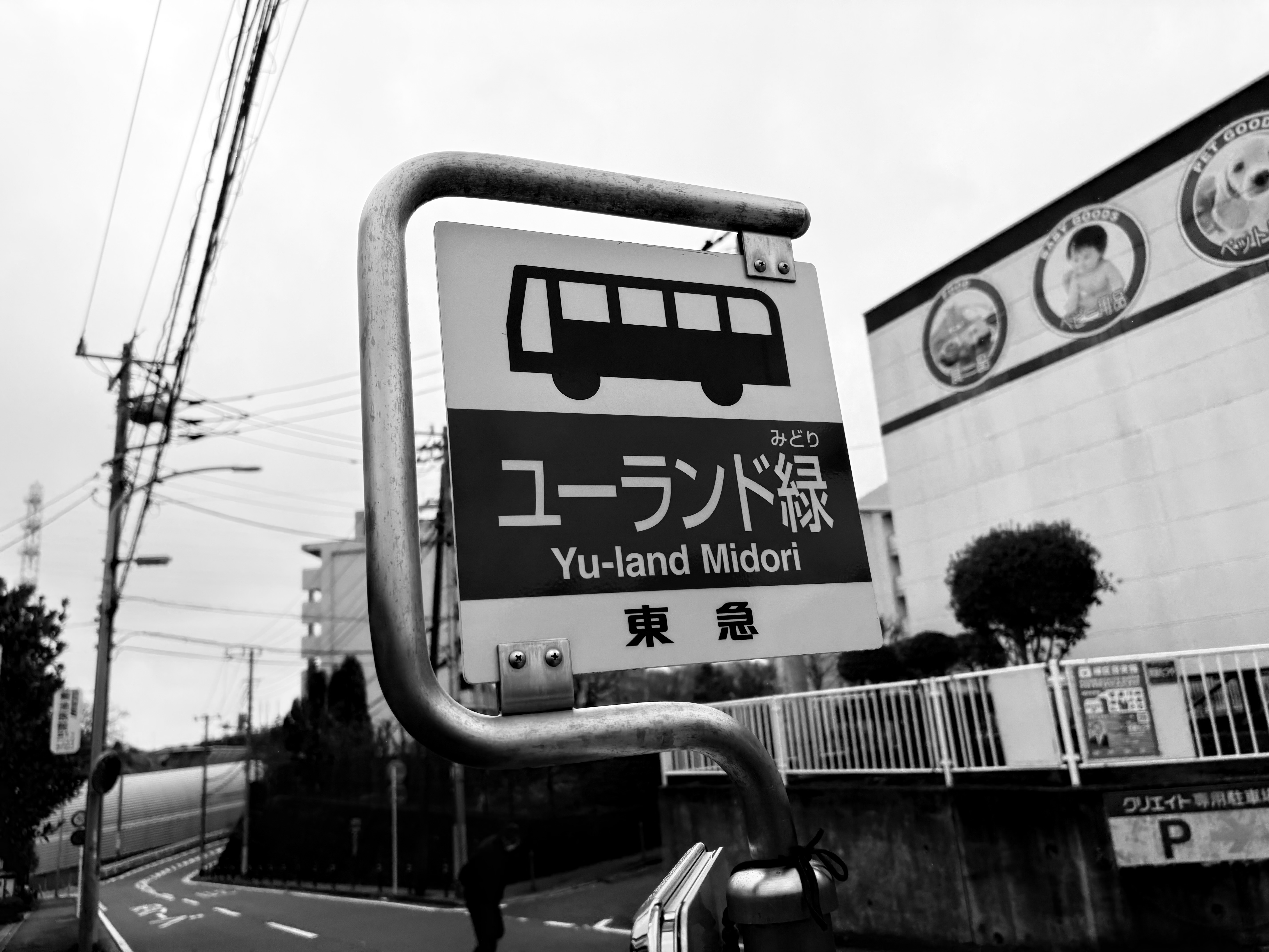 20250414135950-takion37.jpeg